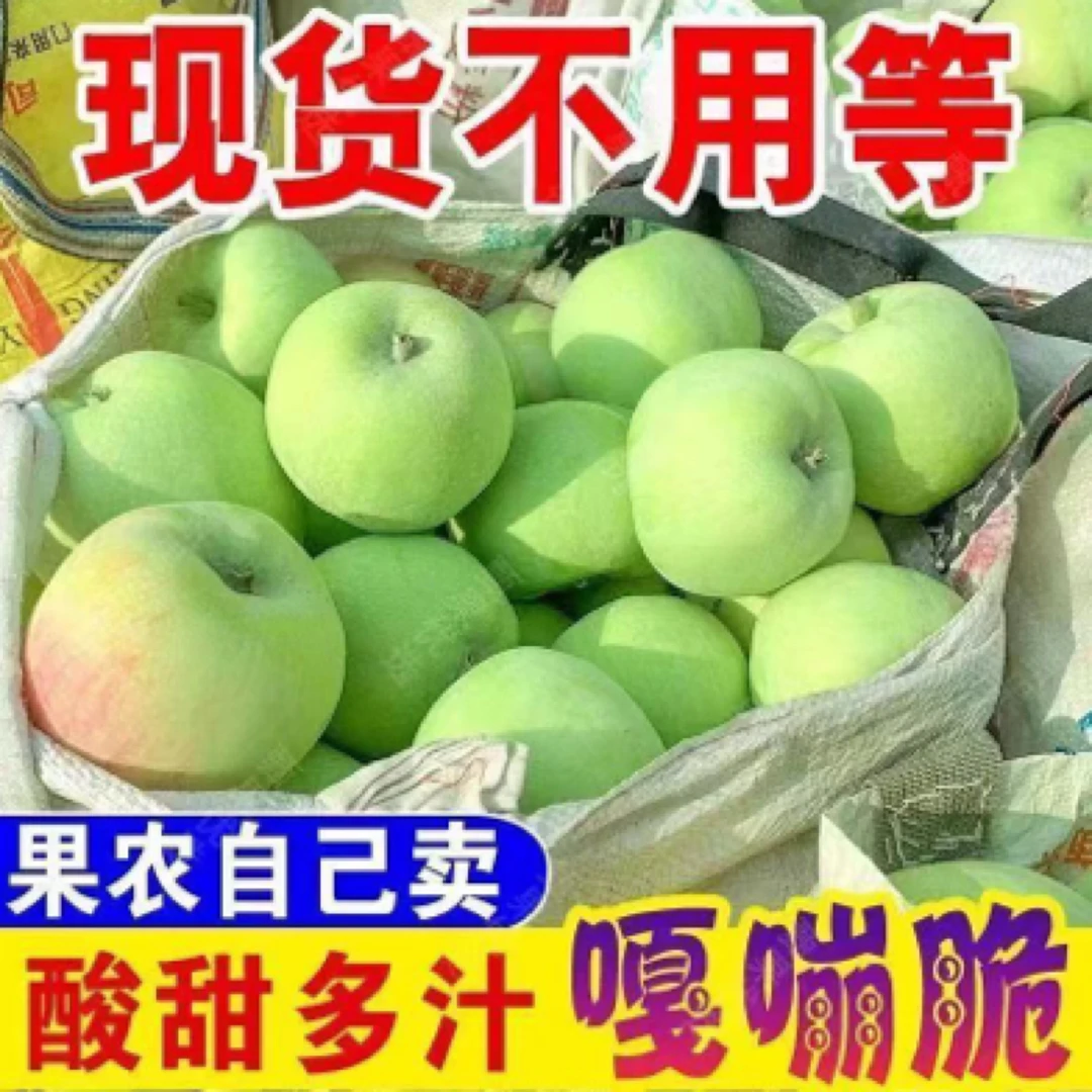山东沂蒙山青苹果现摘现发酸甜多汁适合孕妈妈消暑水果酸苹果