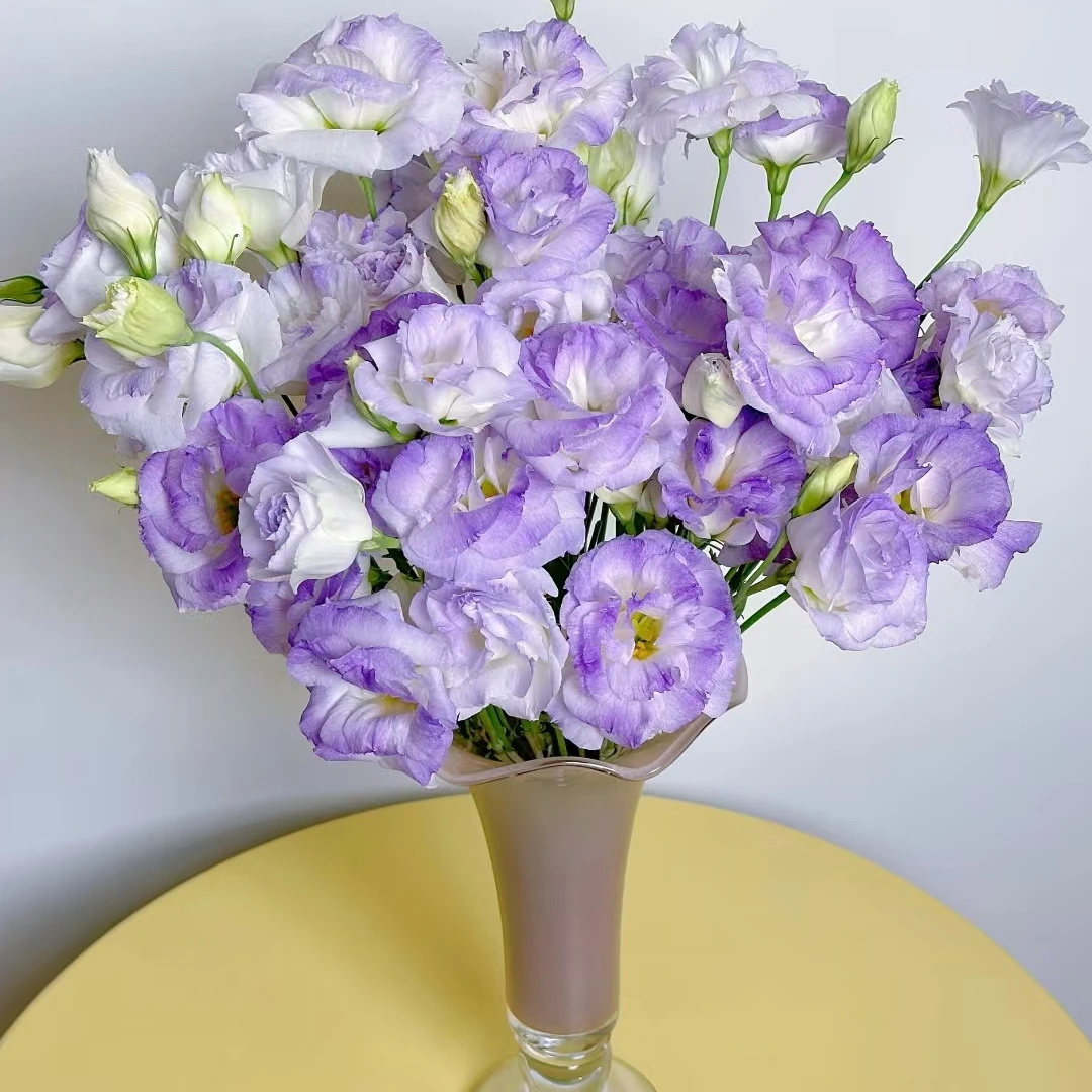 云南直发高品质洋桔梗鲜切花家庭养花适用
