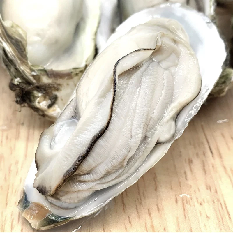 乳山精品生蚝（保肥保活）7斤顺丰包邮