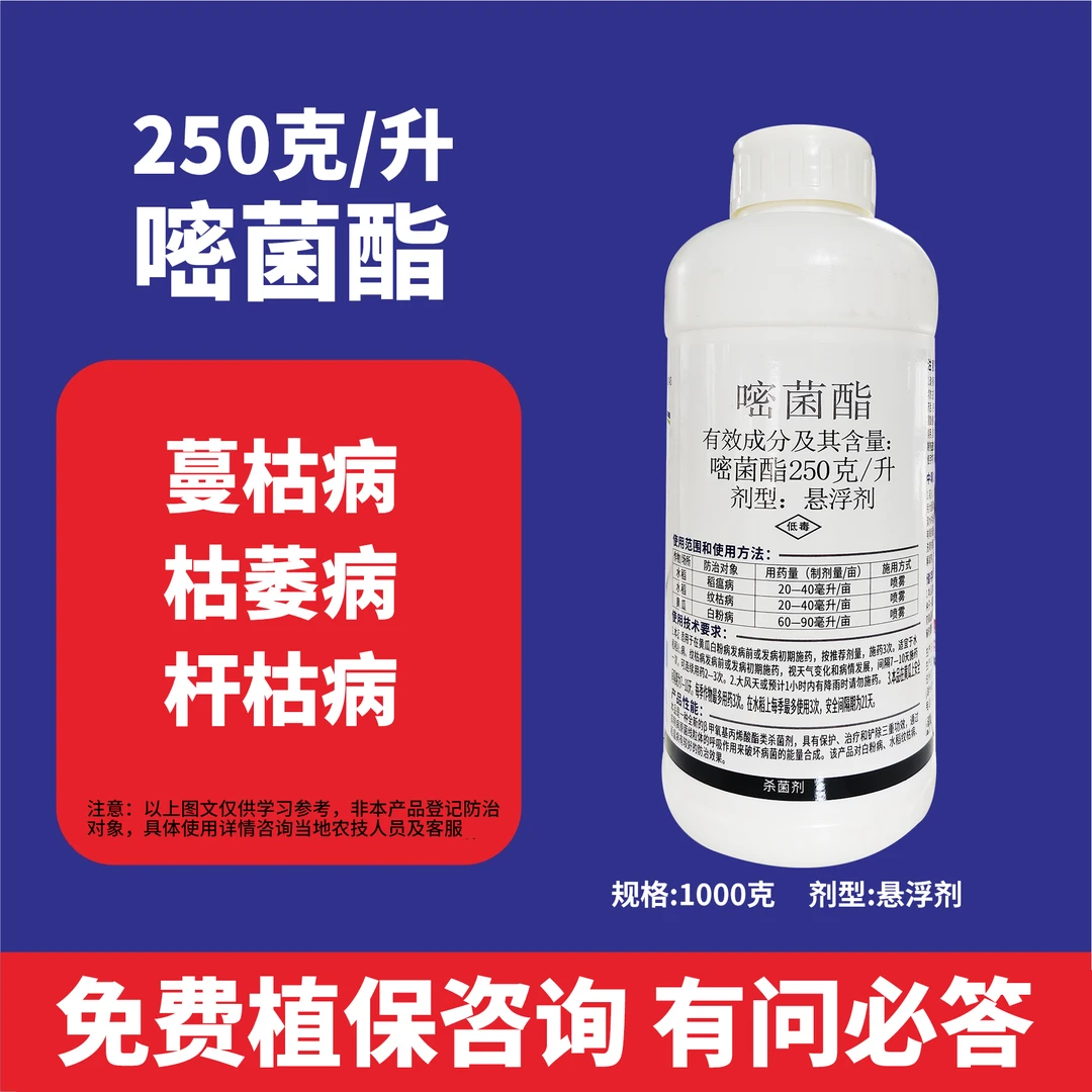 嘧菌酯杀菌玉米番茄辣椒茄子黄瓜西瓜炭疽病蔓枯病白粉病溃疡病