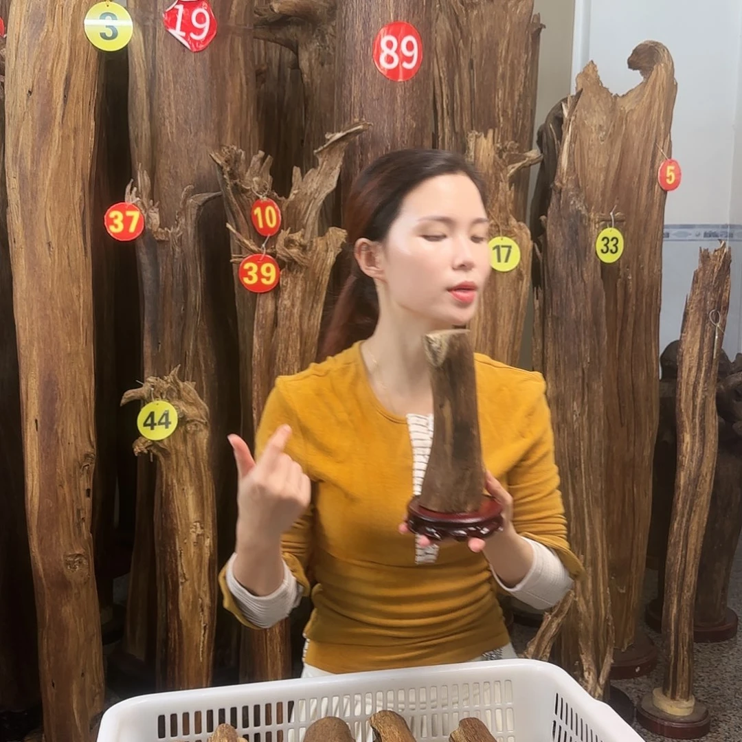 沉香沉香碎屑天然沉香原材料➕底座