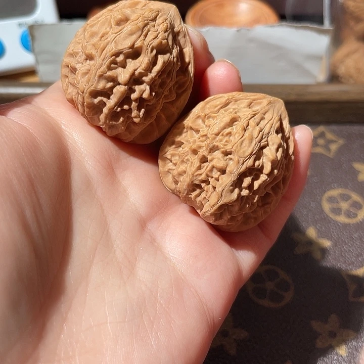 大叶紫檀（黑酸枝木类）血龙珠