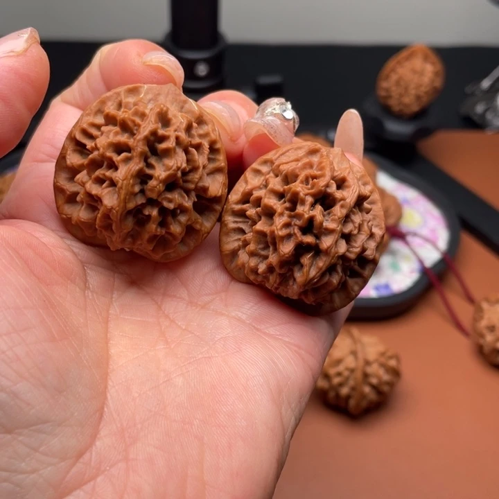 桃木秦核等人的故事也在这里