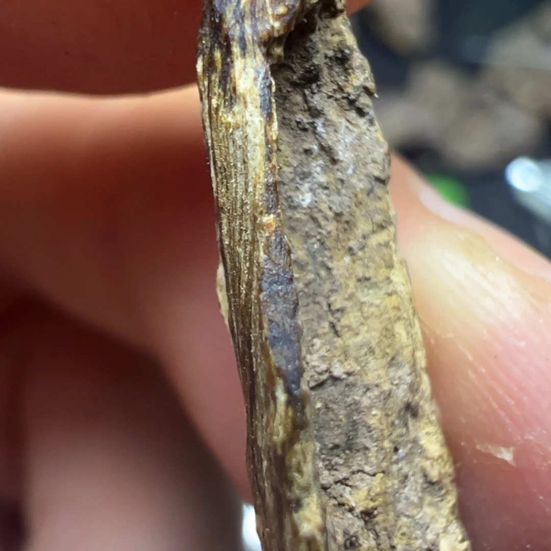 风***1沉香碎屑沉香惠州绿奇楠根油0.295g