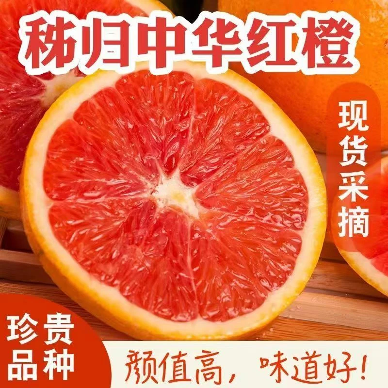中华红心肉血橙新鲜水果当季现采现发秭归产地直发5斤包邮