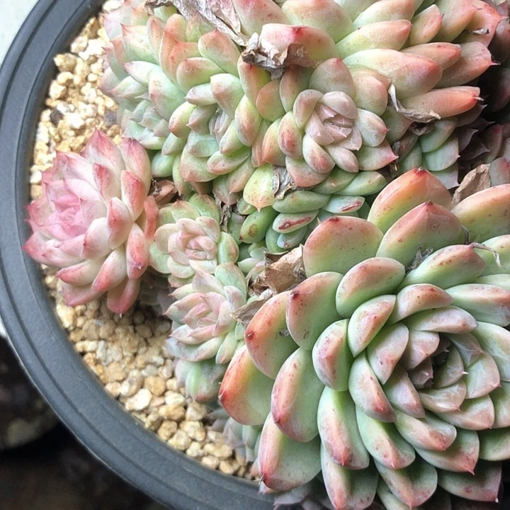 吃****姐282//////////////////