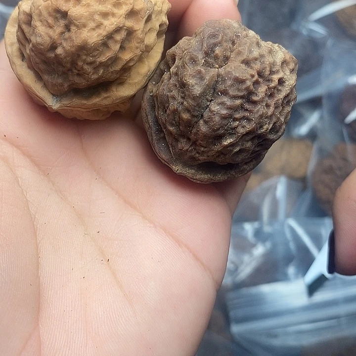 文玩核桃把件16号43mm