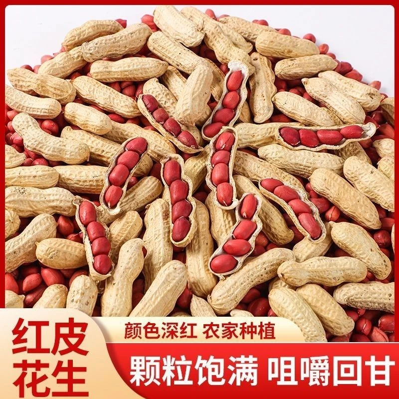 2025年新货上市山东水果花生新鲜红皮花生生吃甘甜红衣花生米5斤