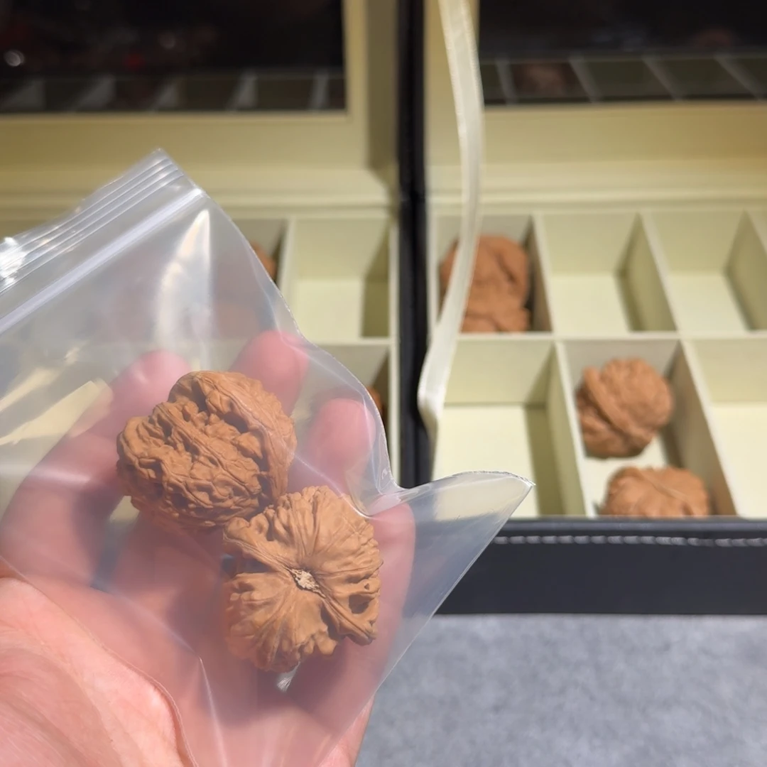 章***哥大叶紫檀（黑酸枝木类）