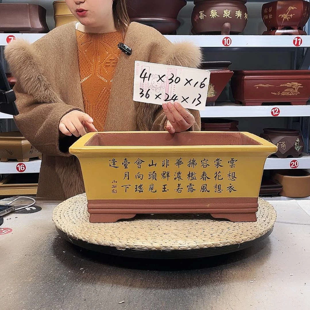 花盆紫砂紫砂花盆里