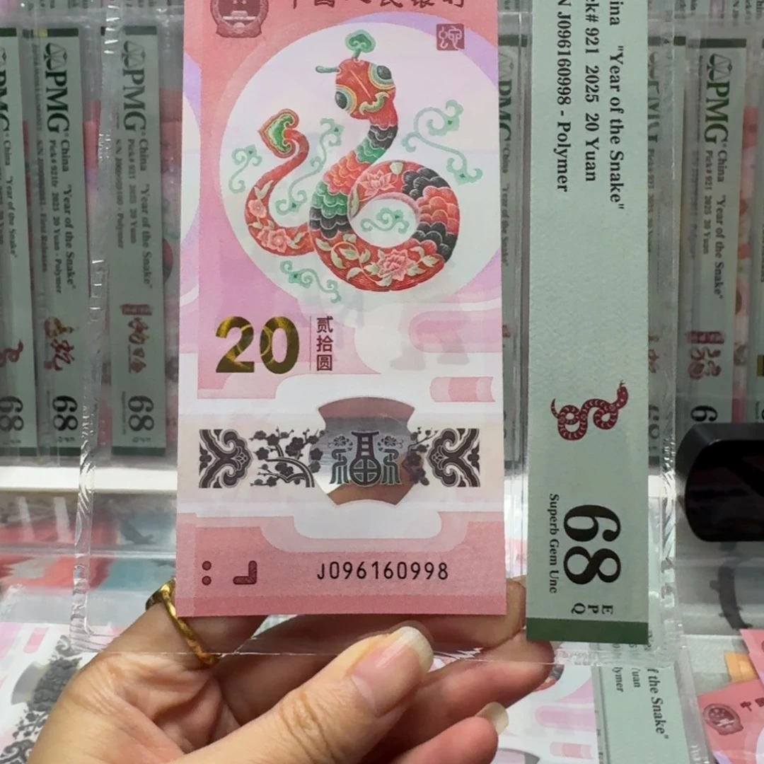 塑料蛇钞J096160998