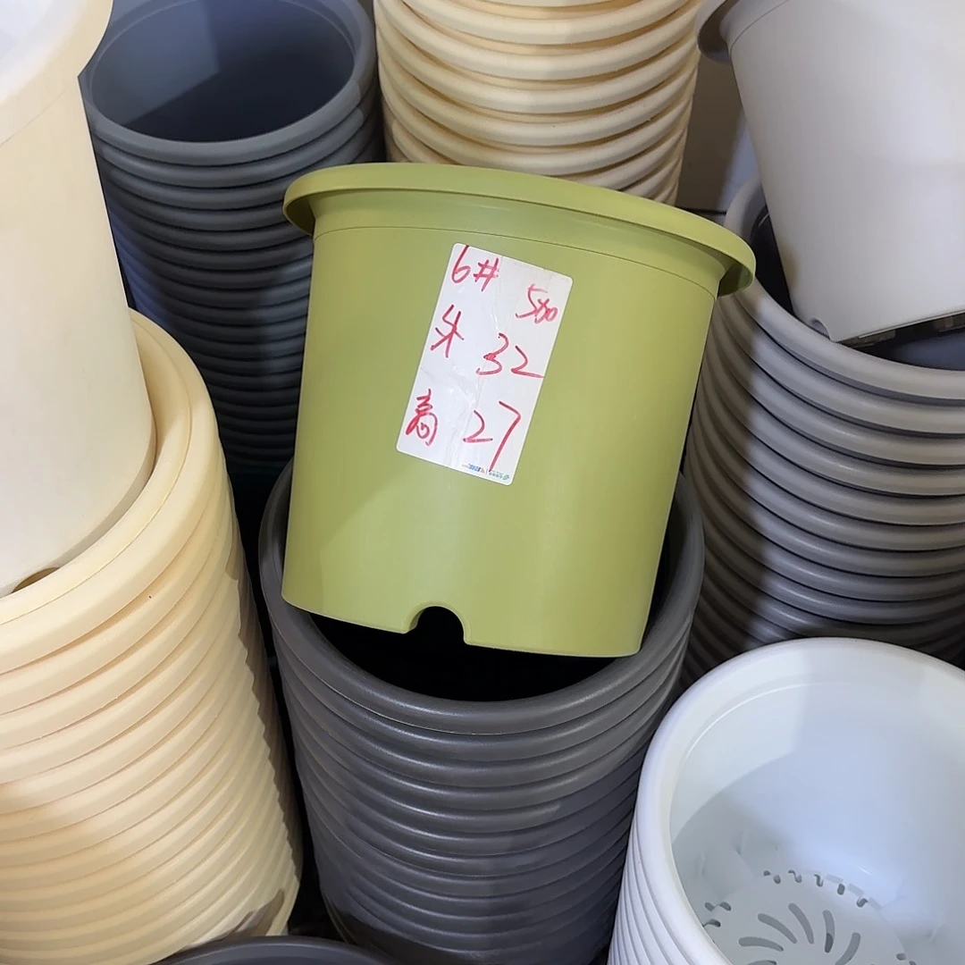 微瑕6号无托，果绿7个