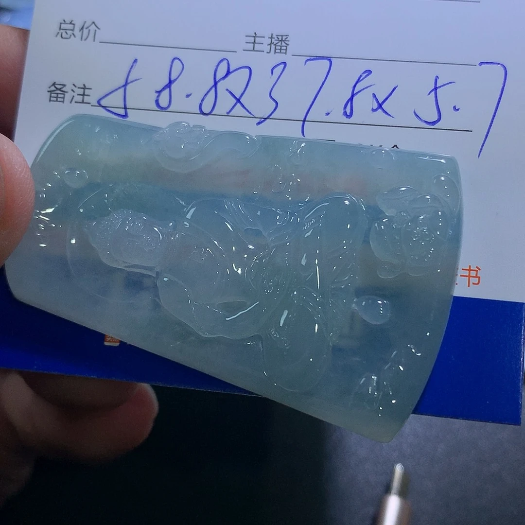 翡翠未镶嵌颈饰A****己