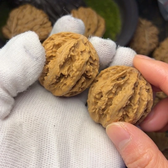文玩核桃把件秦岭核桃3
