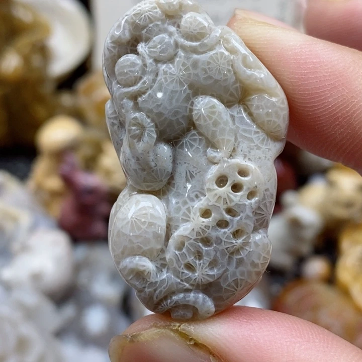 颈饰未镶嵌硅化珊瑚（珊瑚玉）