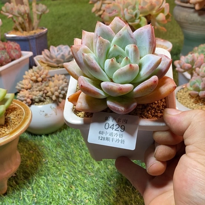 0429啊啊啊啊啊啊啊啊啊啊