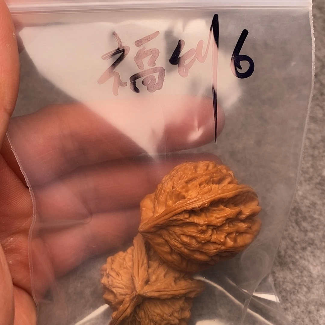 文玩核桃把件诗***华三棱