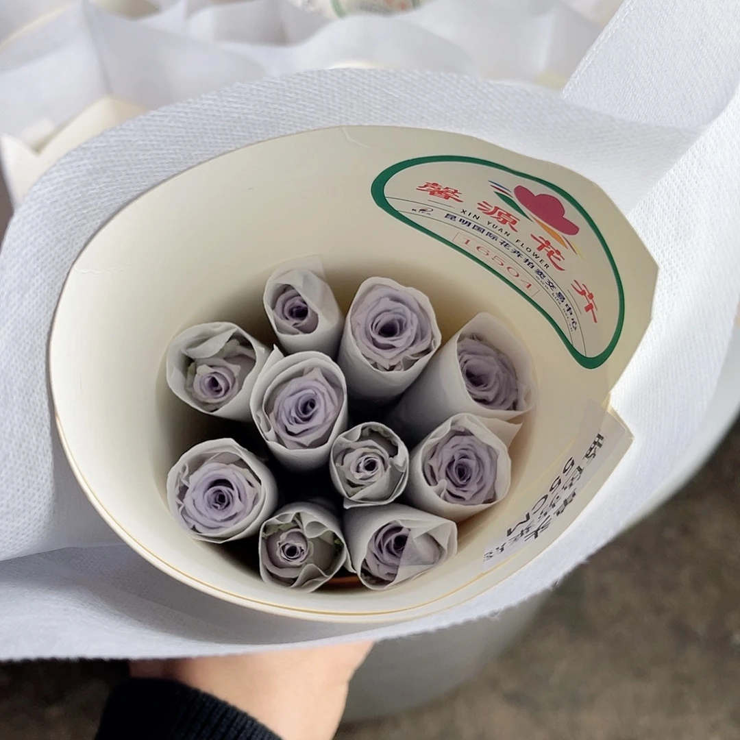 完全开放（蓝色格劳恩）一扎