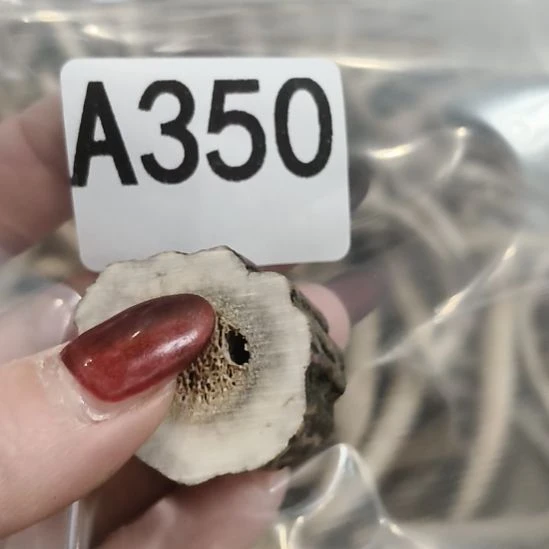 祥***和鹿角鹿角鹿角鹿角鹿角