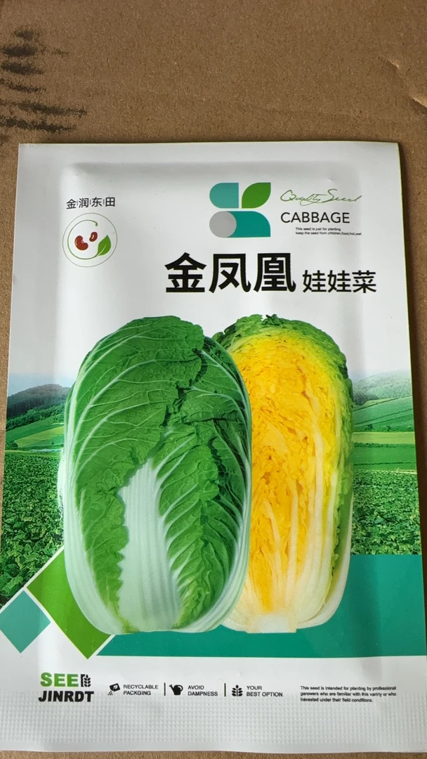 耐热耐寒反季节黄心大白菜种子适合春夏秋播种
