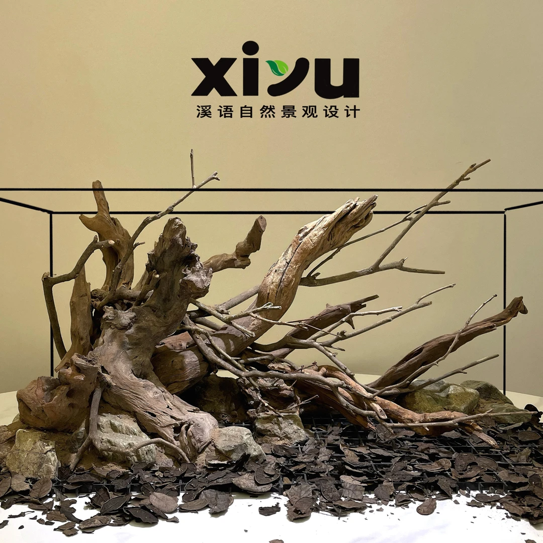 60.30.30南美（商品不包含植物和底沙）