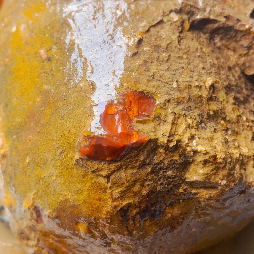 定制玛瑙苏*丶定制战国红玛瑙