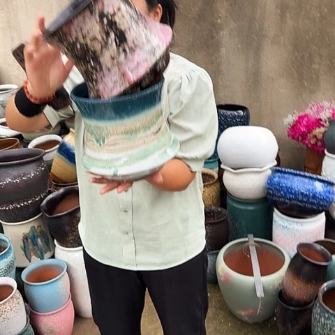 口19高19两个盆子。