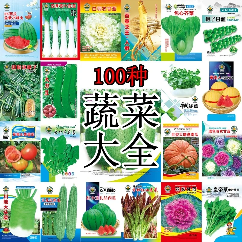 蔬菜种子香菜番茄辣椒菠菜黄瓜青菜籽生菜萝卜白菜四季播种孑大全