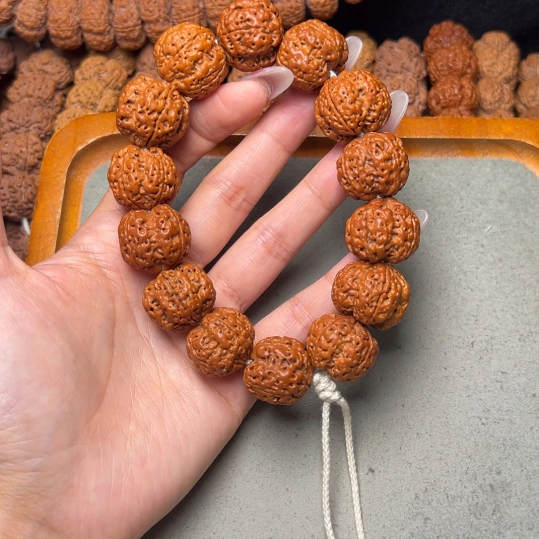 菩提4号金刚菩提四瓣23