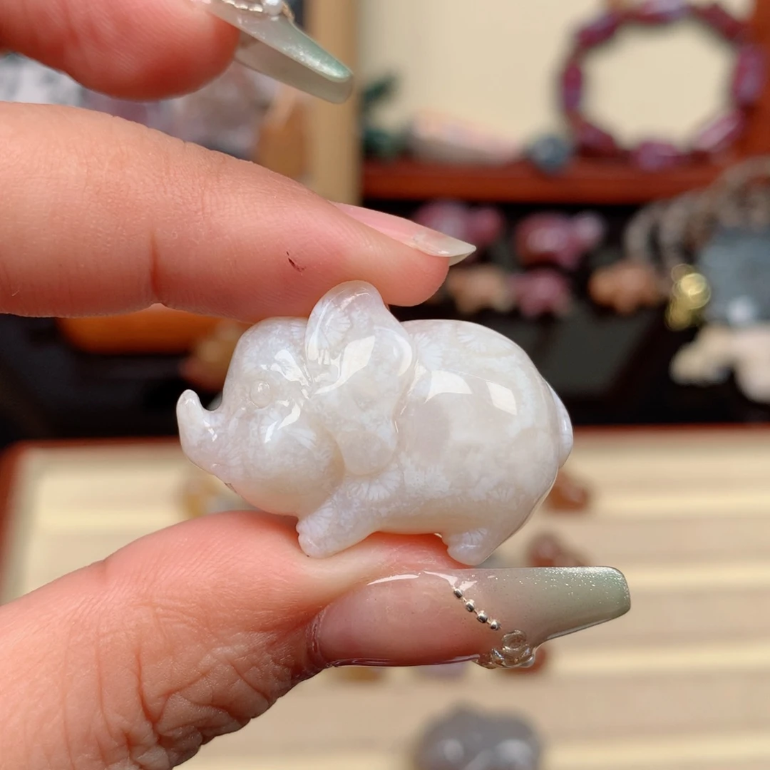 硅化玉未镶嵌颈饰