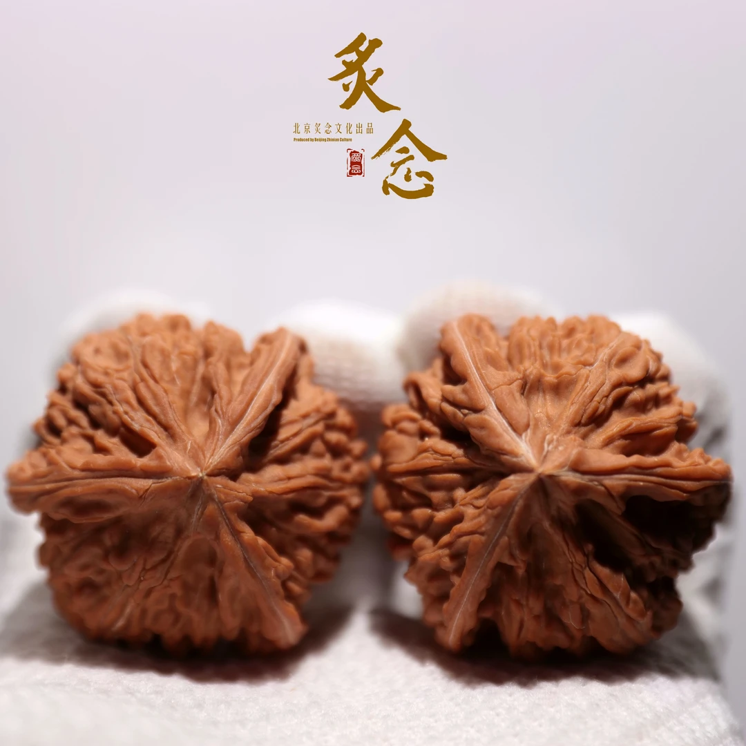 御龙粗筋正奔 · 43 一物一图 文玩好物 文山正奔