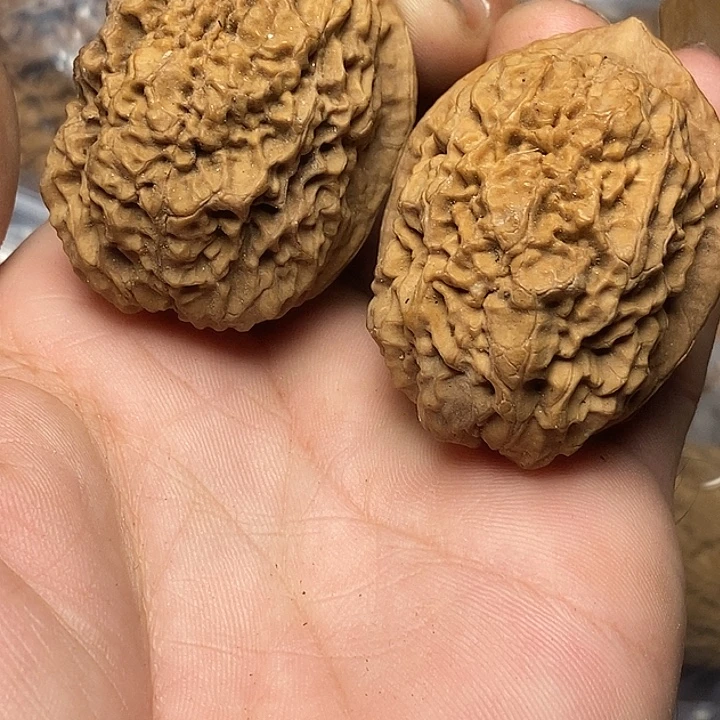 文玩核桃把件云南铁核桃71