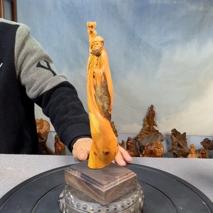 柏木（崖柏）太行崖柏