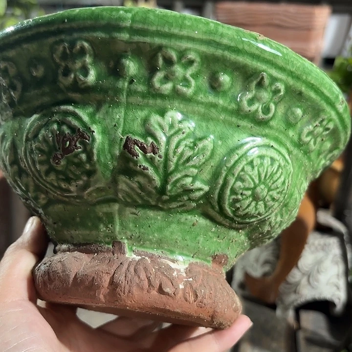 许纯的花房  绿色冰裂碗盆