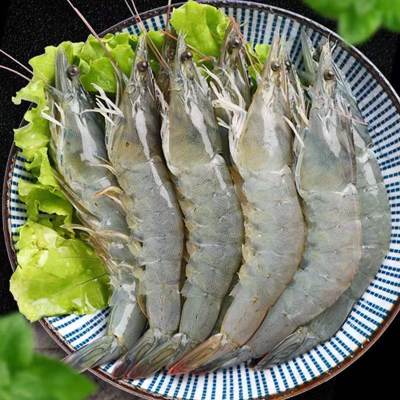 海水大虾5斤 13-16cm（60-75只左右）速冻锁鲜 12-15只/斤 5袋