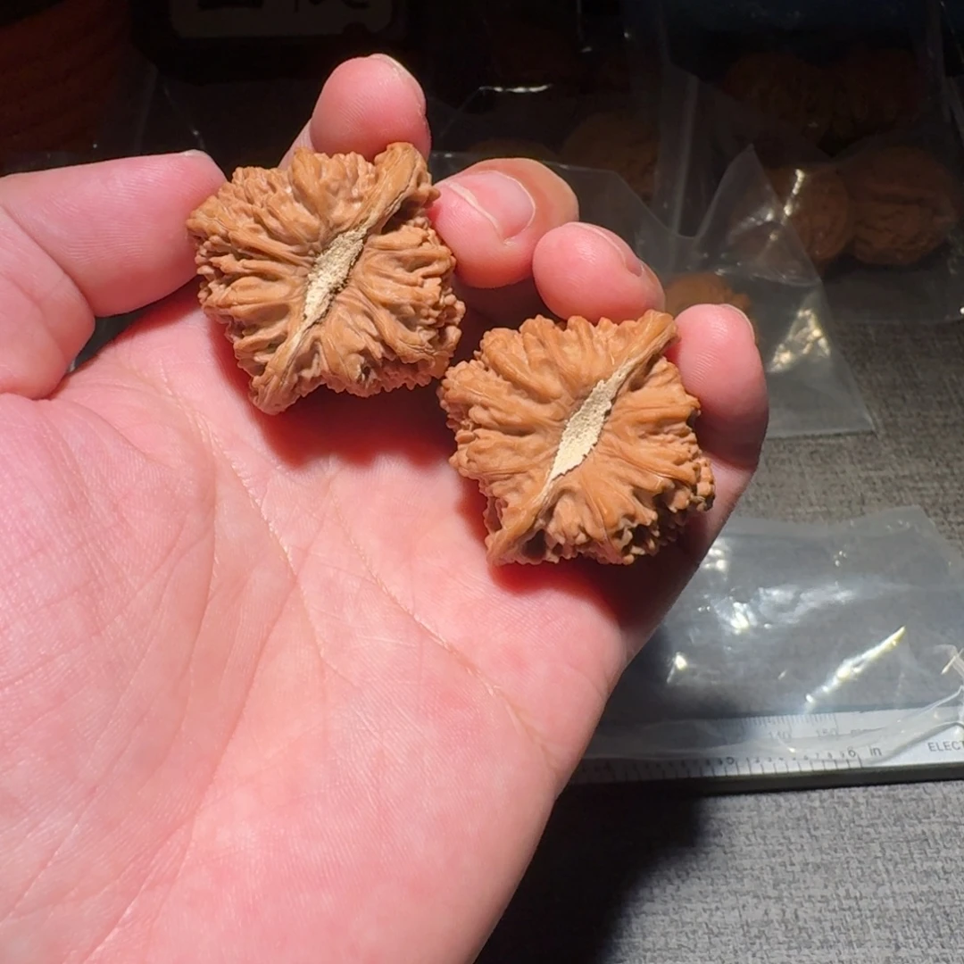 39 尺全品无修凹底石膏脐密纹