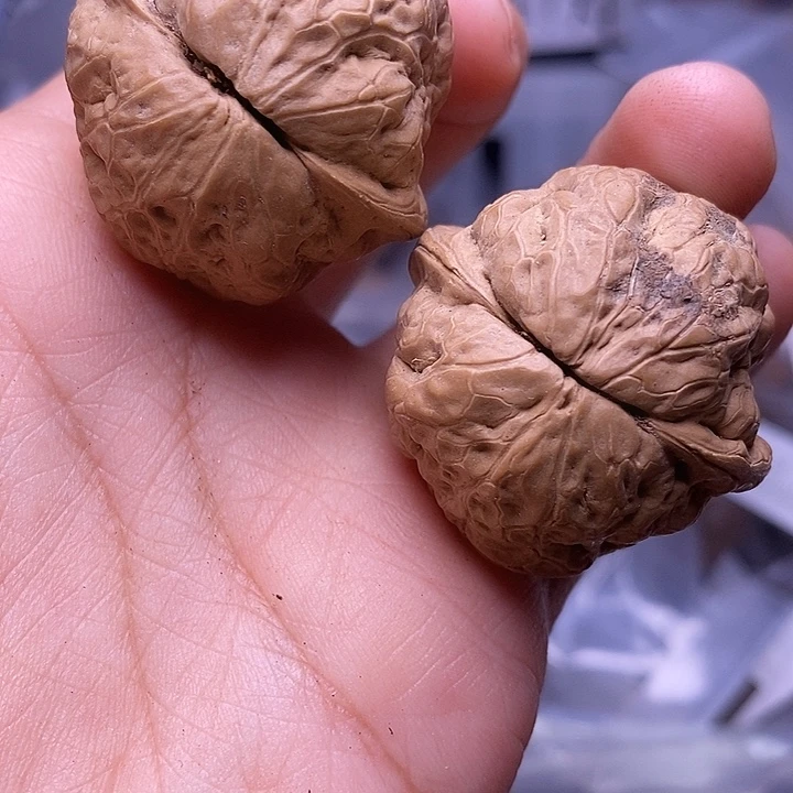 文玩核桃把件   289