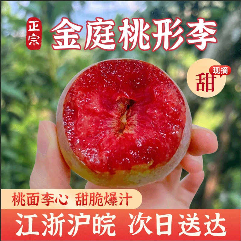 【限量推广】正宗嵊州桃形李/硬吃脆甜爽口/软吃糯甜多汁次日达浙江省