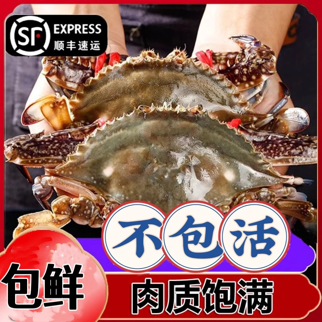 【保鲜不保活】5-7两大蟹舟山新鲜梭子蟹活发 3斤 5-7两/只 5-6只 梭子蟹同城