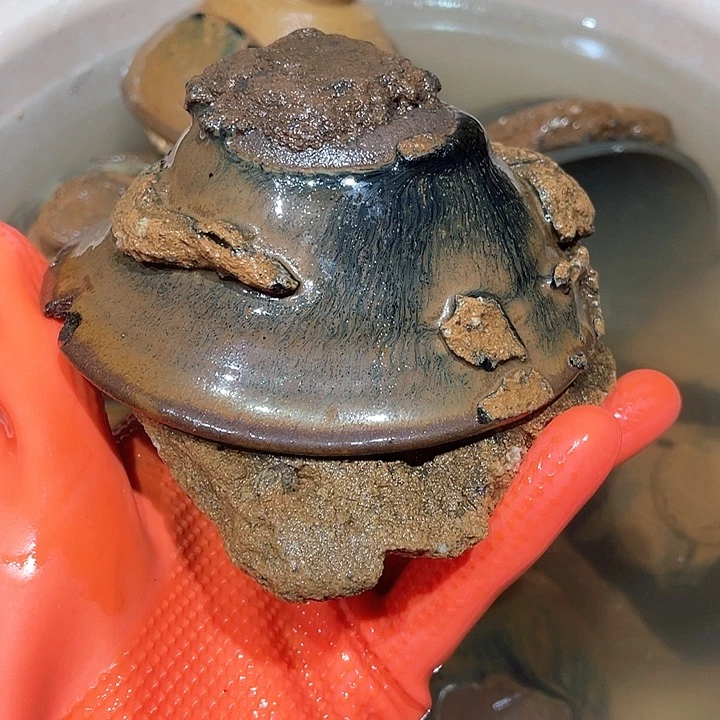 茶盏风*时茶盏主人杯一只