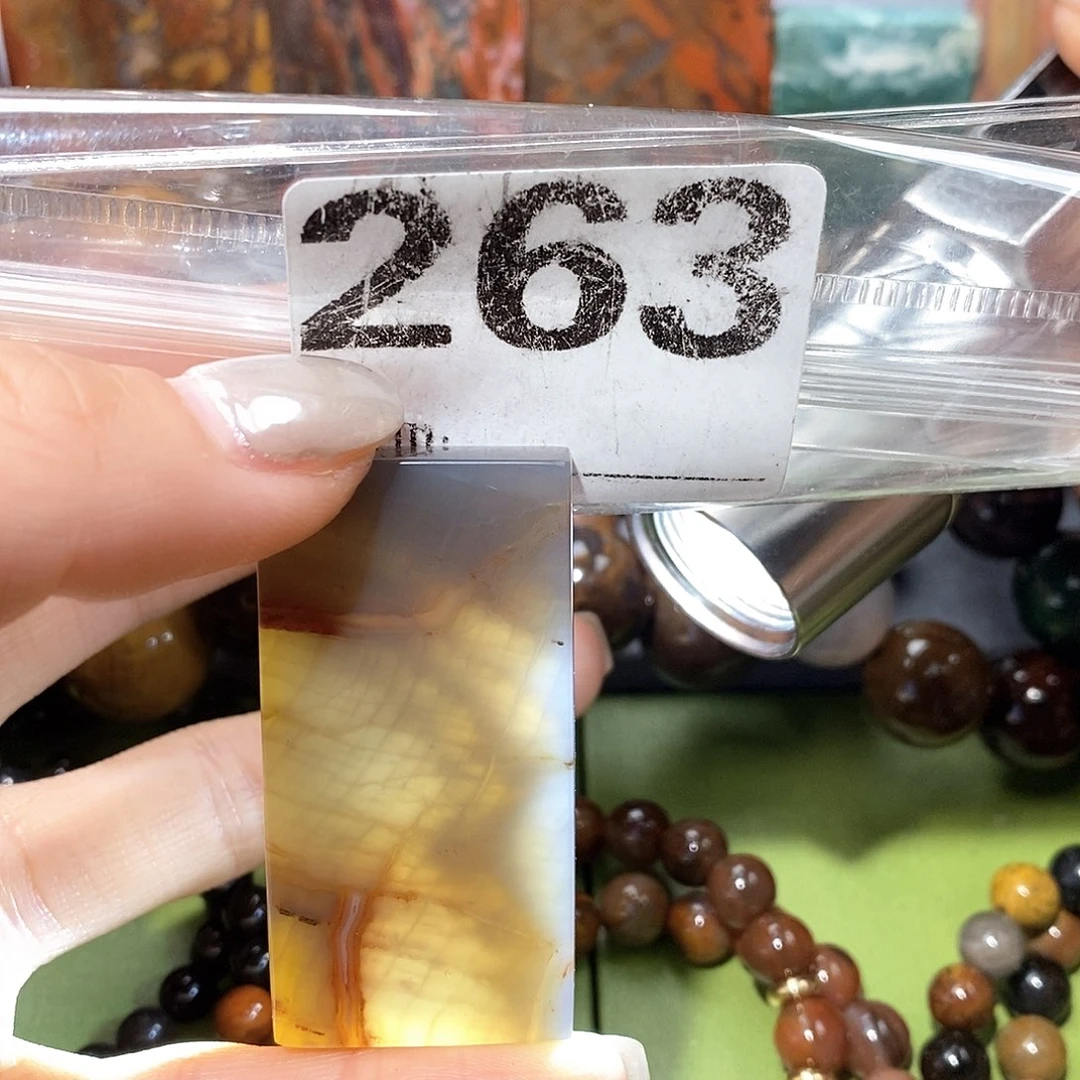 未镶嵌天然北票树化玉吊坠硅化玉