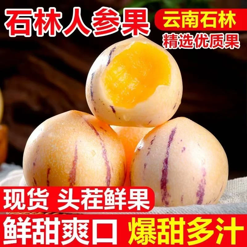 七彩云南石林正宗人参果特大果黄心当季孕妇低糖新鲜应季罕见水果