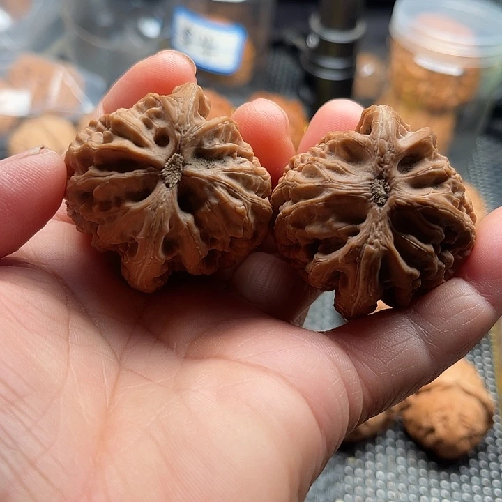 把件桃核全品红锦鲤边44肚44高47