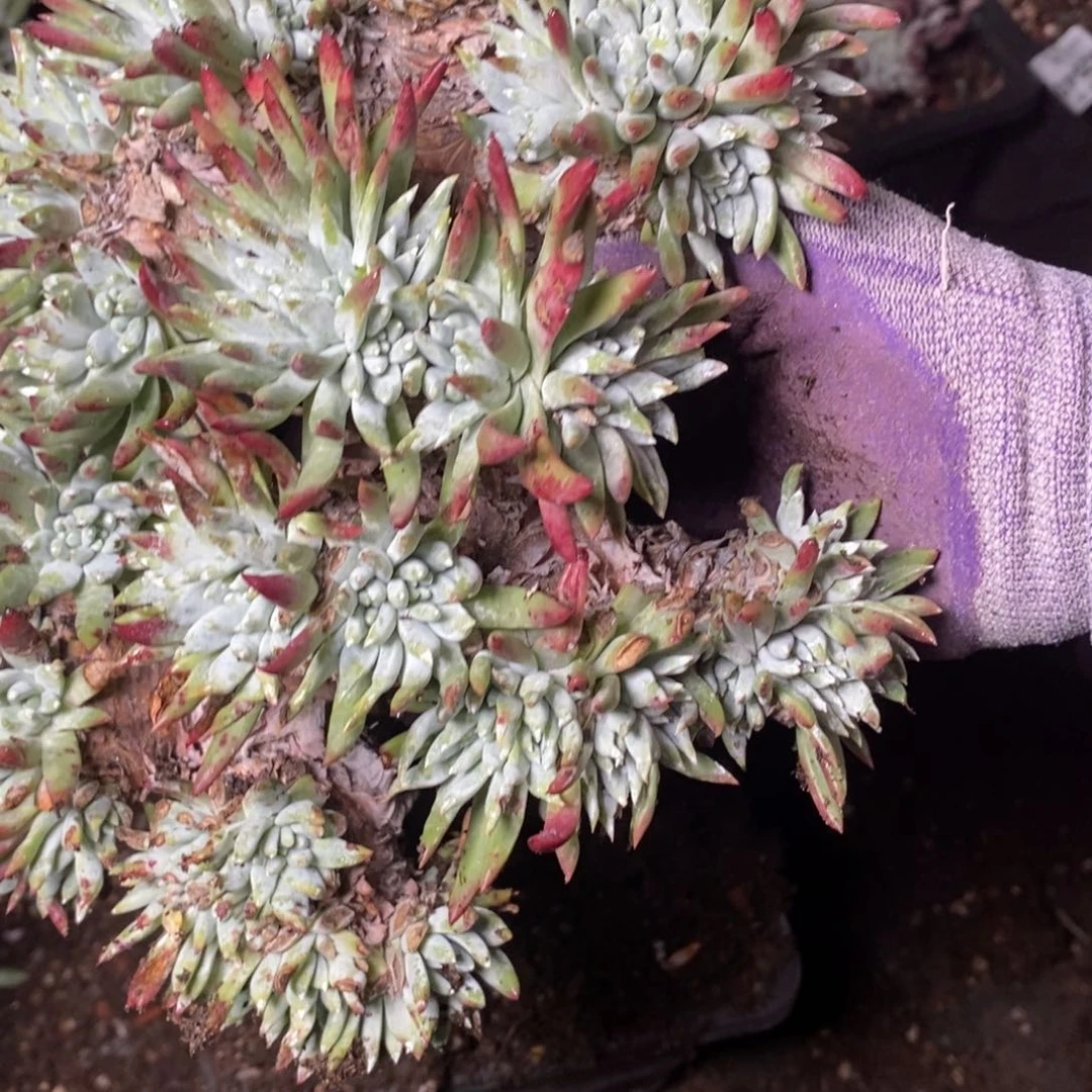 M**闵2137哈哈哈哈哈哈哈哈哈哈哈哈哈哈