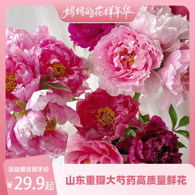 花点时间山东重瓣大芍药高质量鲜花母亲节礼物