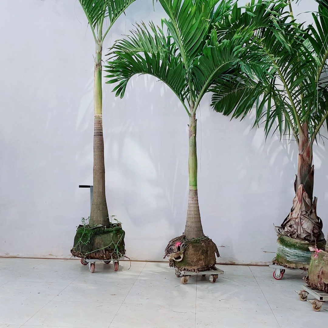 周*23568999990000000000