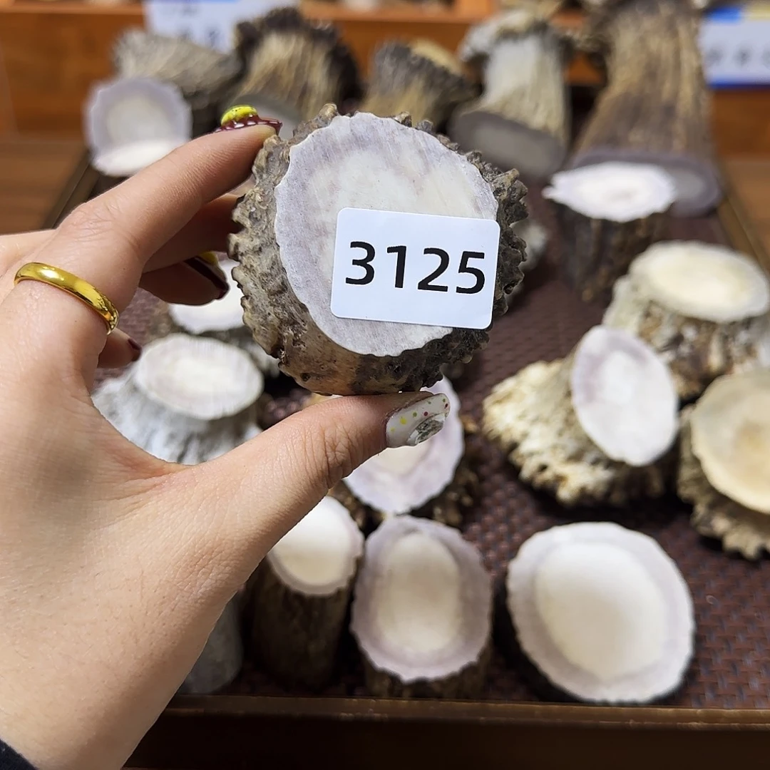 鹿骨手串/手链角帽3125