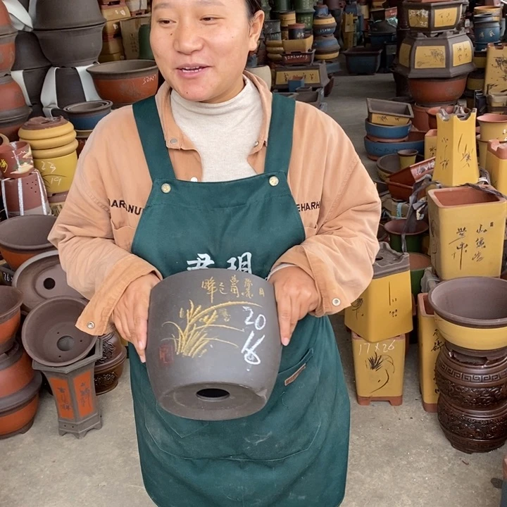 紫砂花盆盆栽花卉苗木种植