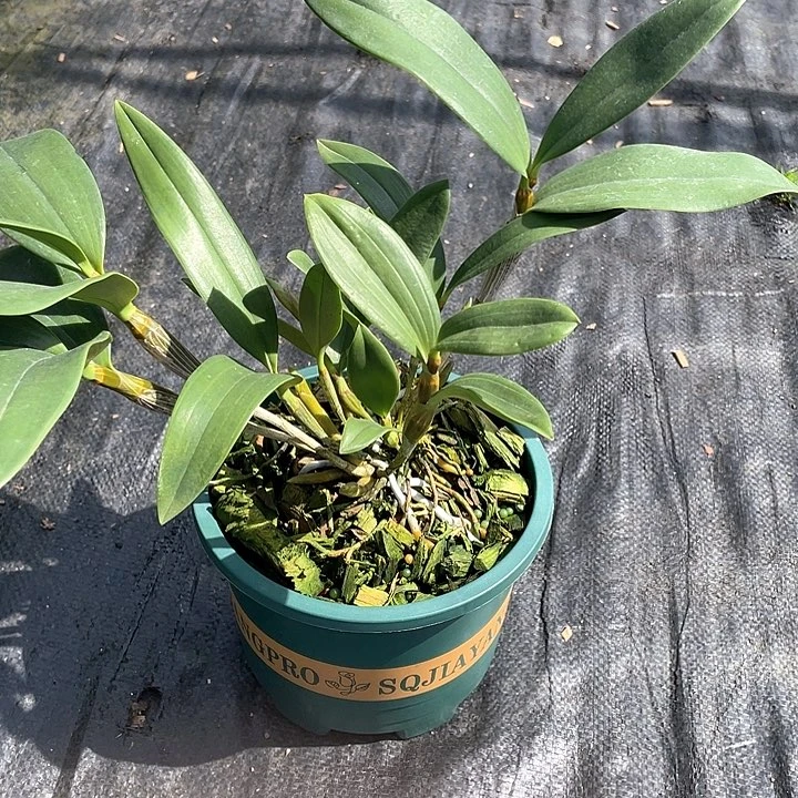 完全开放无需担心