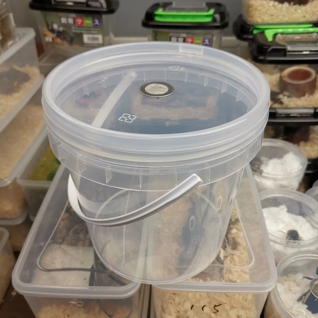 甲虫幼虫饲养桶空桶可作产房使用容量大约2L